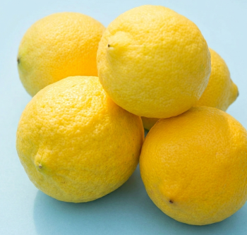Citrus limon "PAVLOVSKÝ" (L.) Burn. - Citrumelo Citrus limon "PAVLOVSKÝ" (L.) Burn. - Citrumelo