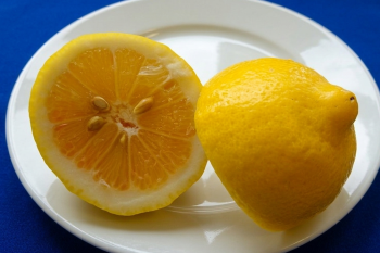 Citrus medica L. "VARIEGATA HACH" - Citrumelo
