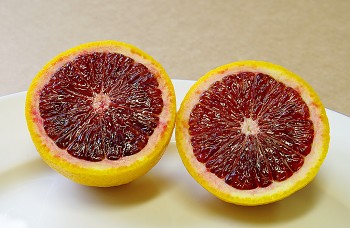 Citrus sinensis "MORO" (L.) Osbeck - Citrumelo